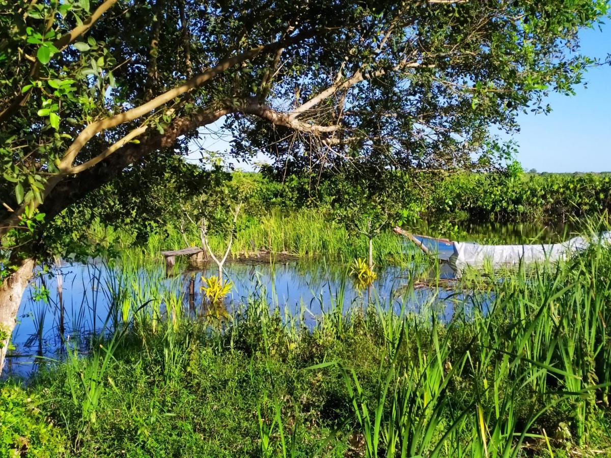Pousada Mangue Seco Itaunas  Dış mekan fotoğraf