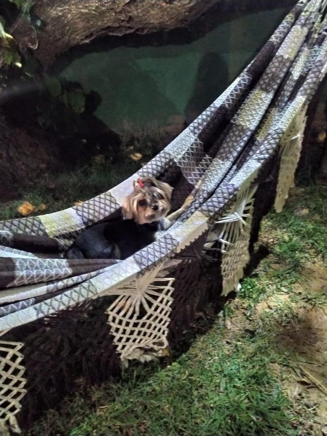 Pousada Mangue Seco Itaunas  Dış mekan fotoğraf